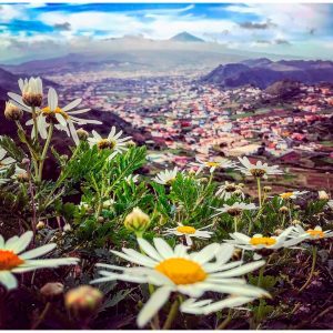Anaga; la isla que dejó de ser isla. Gregoriostrekking
