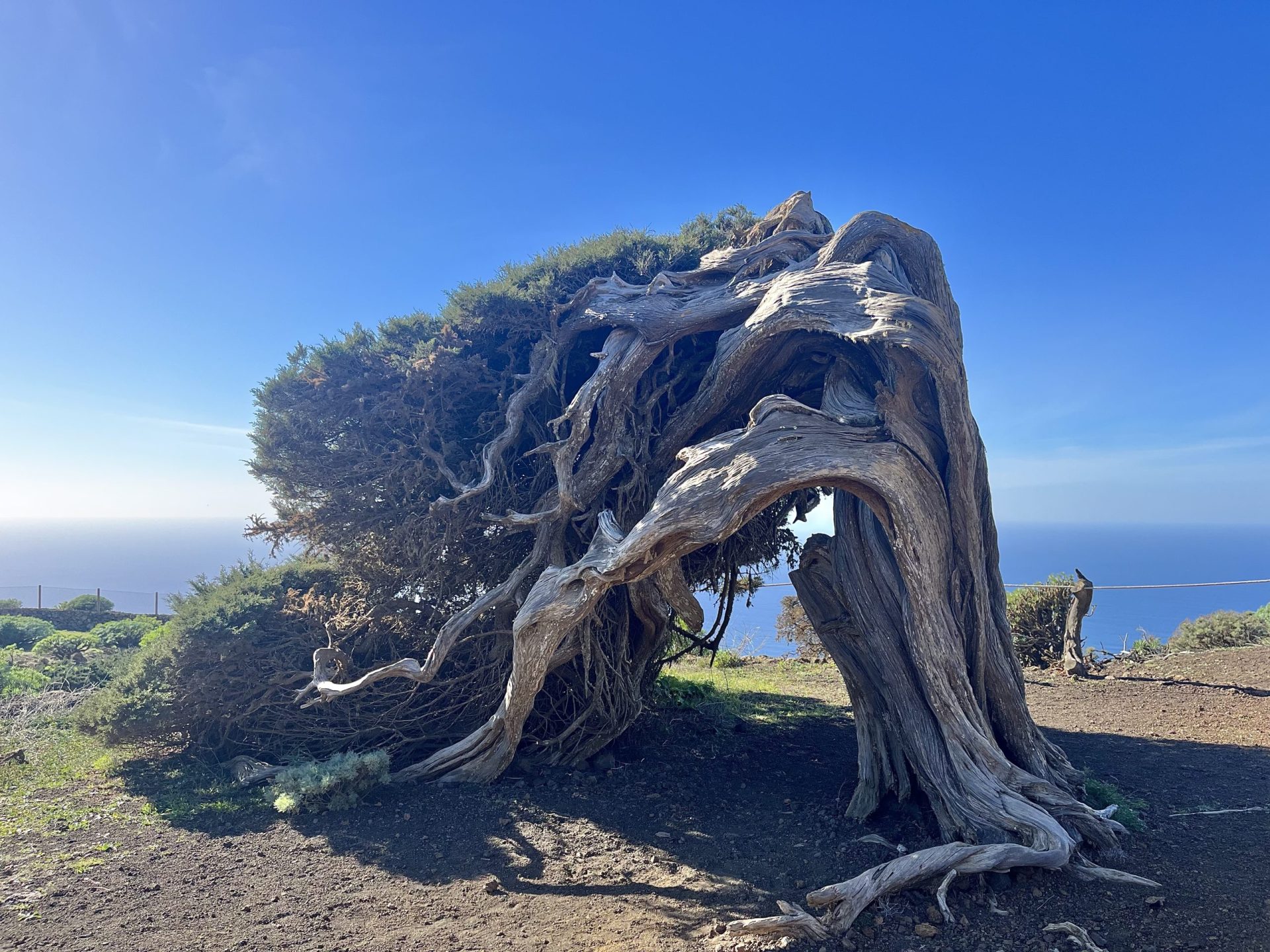 Sabina del Hierro, Alisios Gregorios trekking.