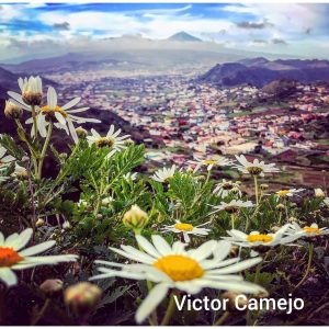 El Teide, el gran volcán del Atlántico. Gregorios Trekking