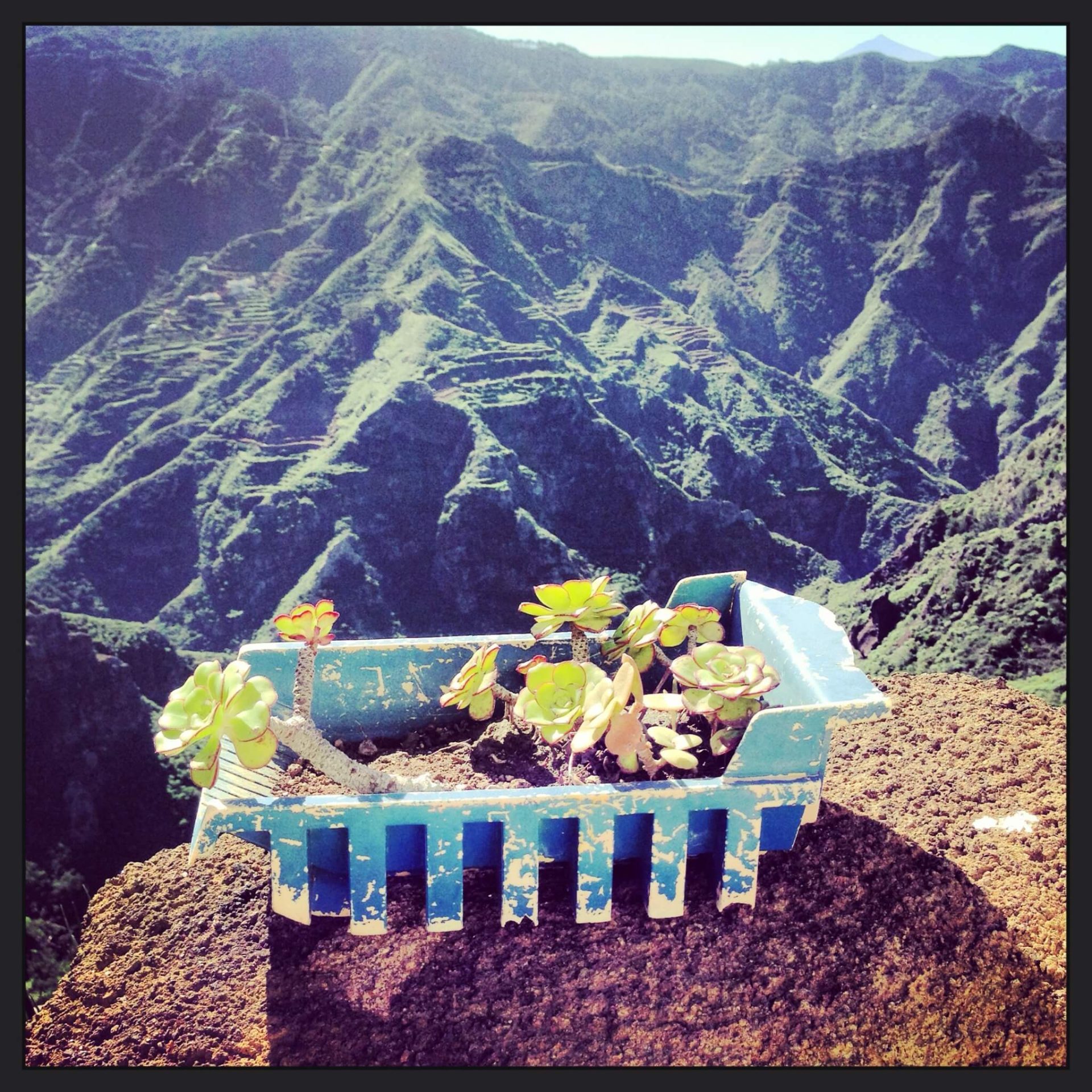 Anaga; la isla que dejó de ser isla. Gregorios trekking.