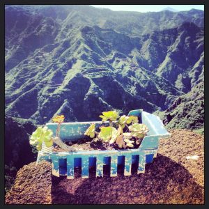 Anaga; la isla que dejó de ser isla. Gregorios trekking.