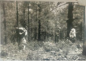 Gregorio caminando en 1967, Gregorios wanderfamily Tenerife.
