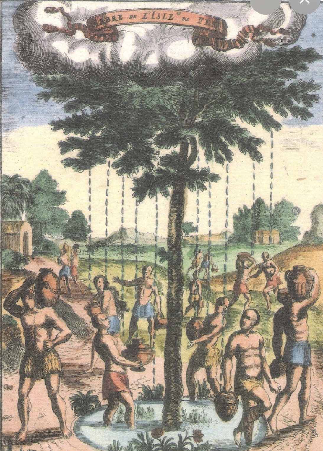 El Garoé, el árbol sagrado de el Hierro. Gregorios trekking.