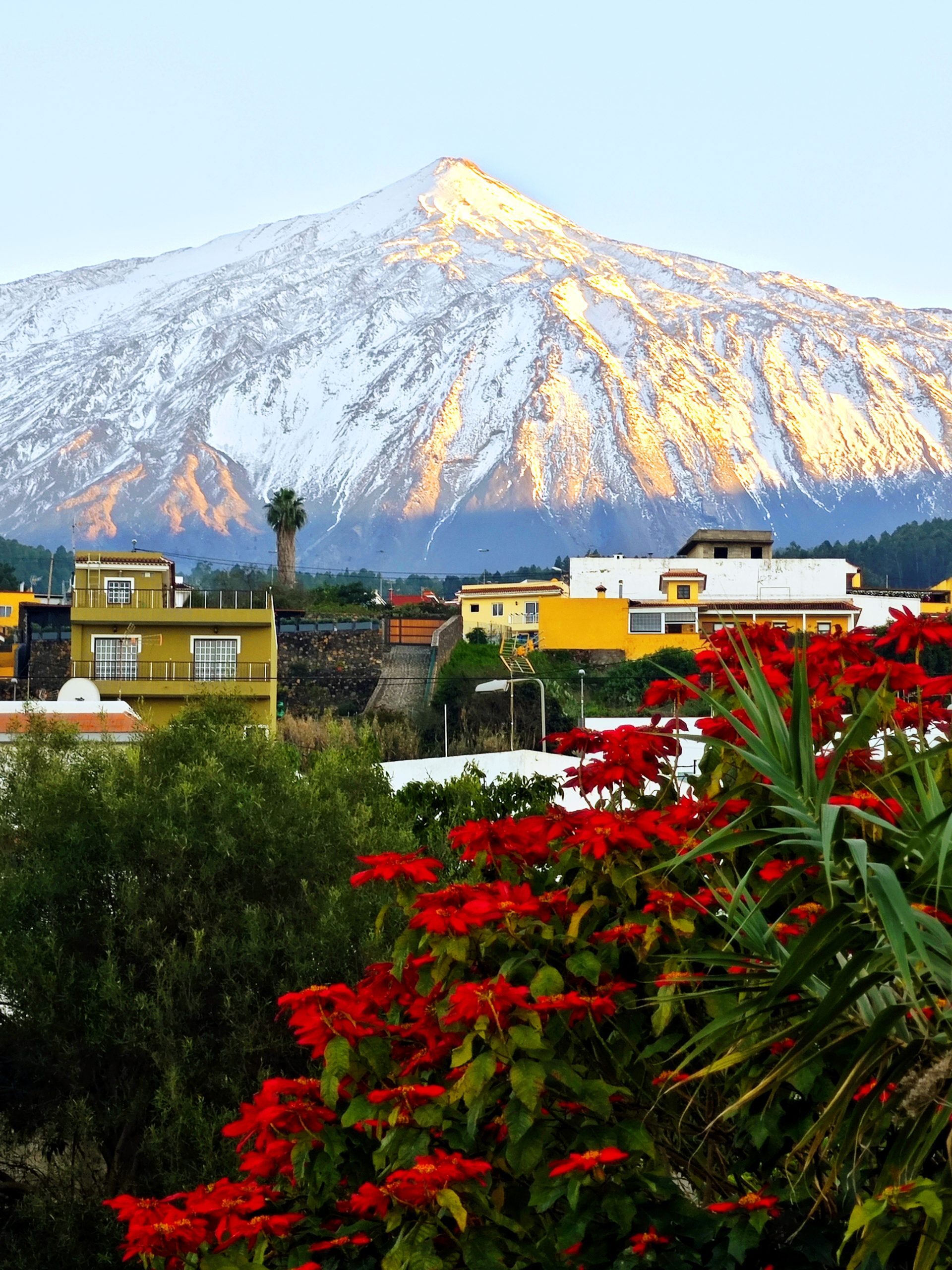 Teide en navidad, desde Icod, Gregorios trekking Tenerife